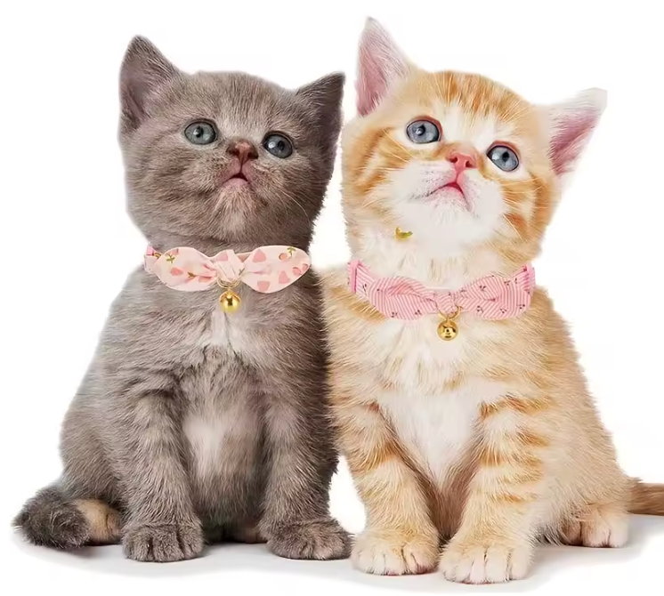 Pet Collar, Adjustable and Detachable Collar, Cute Style Collar for Dogs and Cats, Suitable for Small Dogs and Cats